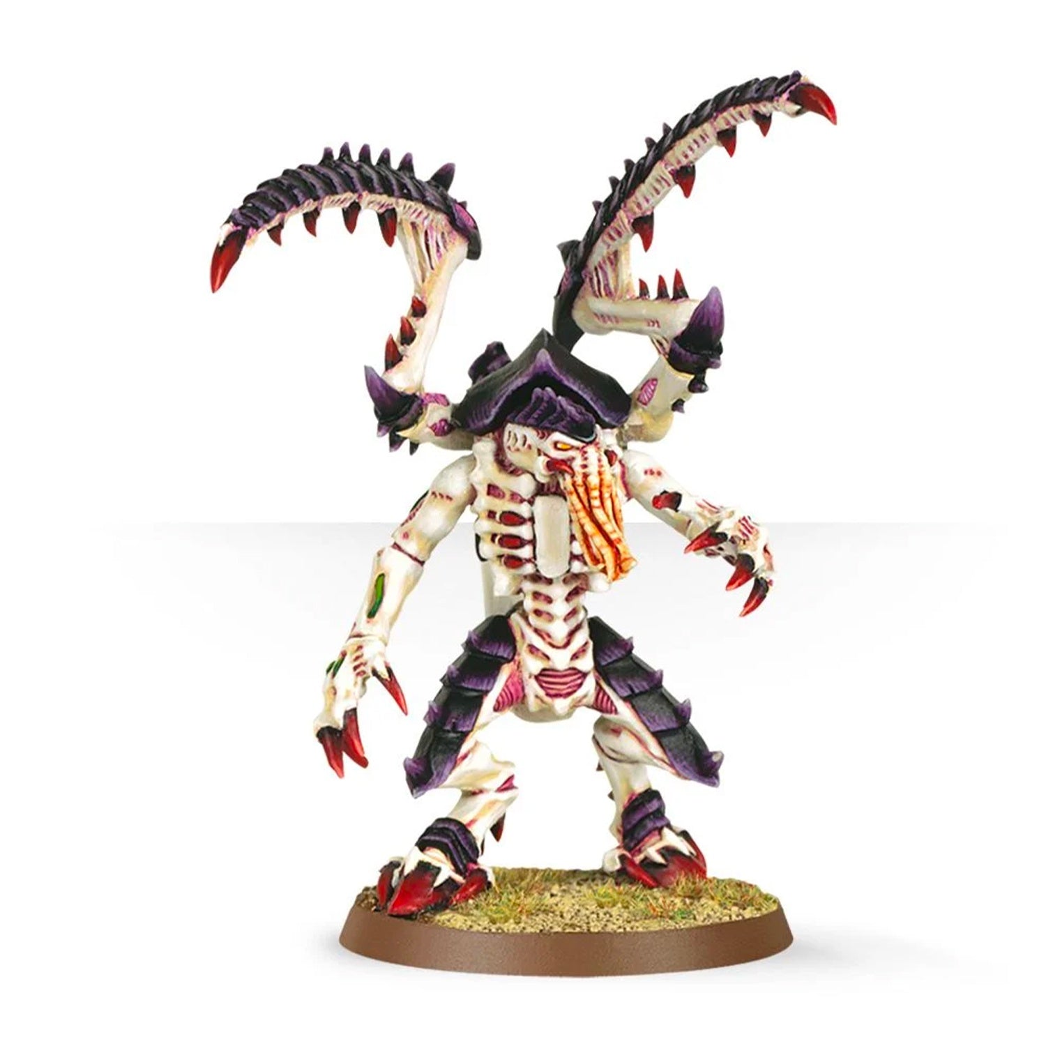 Lictor 1