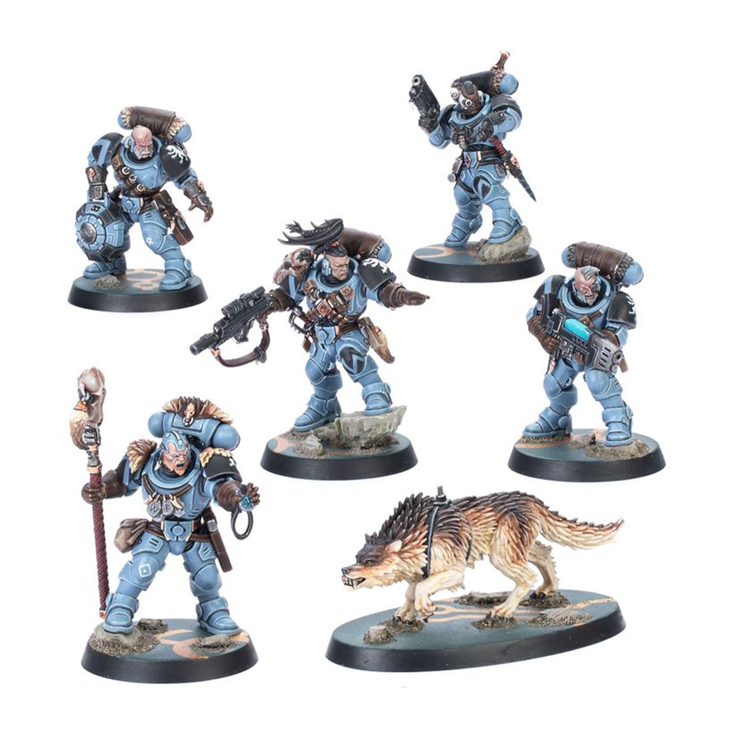 Wolf Scouts
